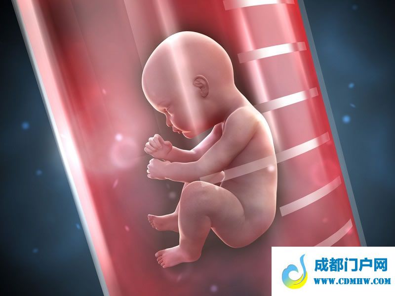 试管婴儿网